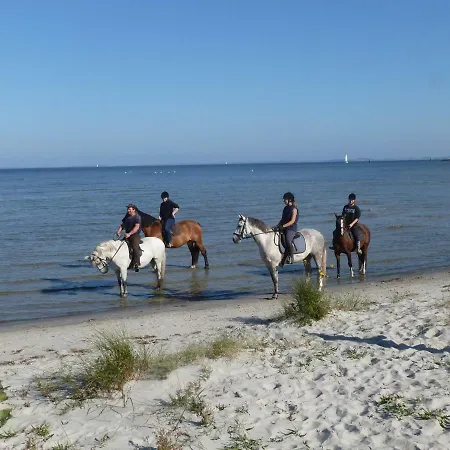 Haus Waldesruh Apartment