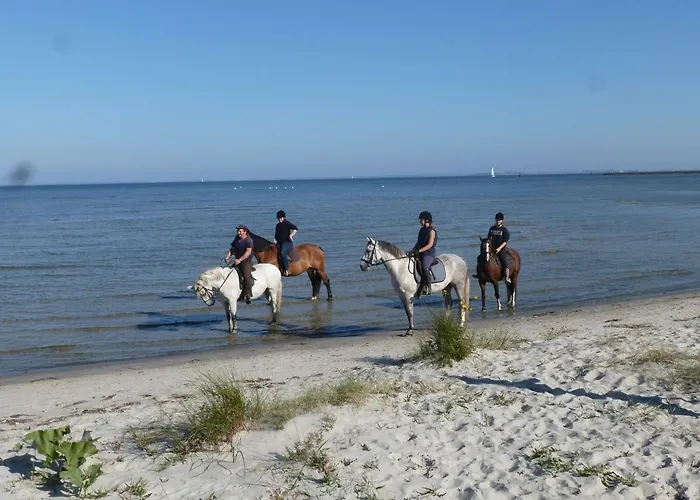 Haus Waldesruh Appartement